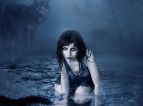 �������